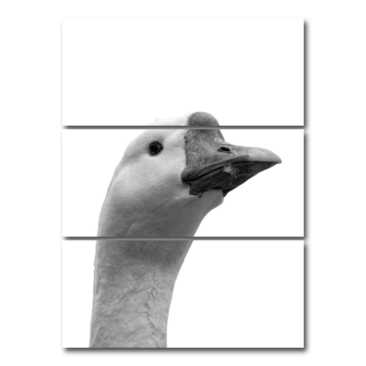 AUTO-MOCKUP WHITE | Goose Head | 3 Piece | Gallery Wrap Canvas | group=8x18_stacked