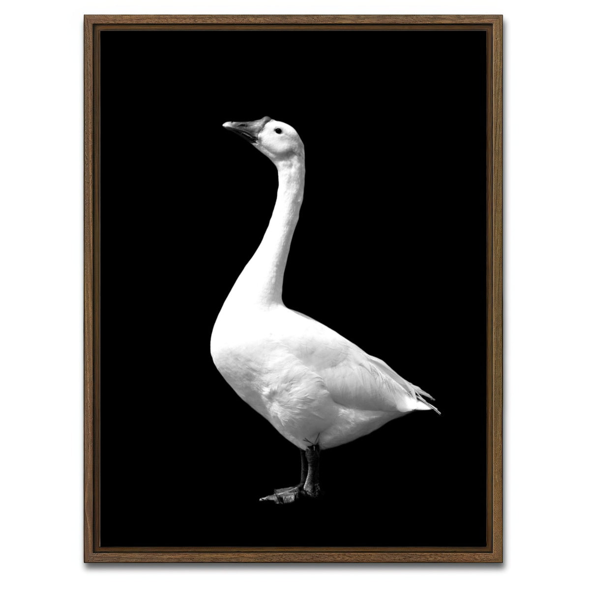 AUTO-MOCKUP WHITE | Goose | 1 Piece | Walnut Framed Canvas | group=3x4