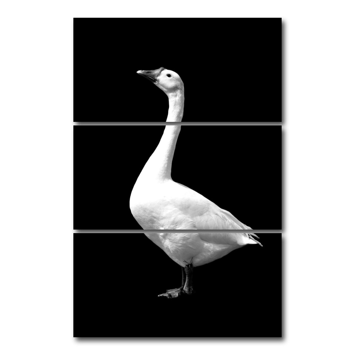 AUTO-MOCKUP WHITE | Goose | 3 Piece | Gallery Wrap Canvas | group=12x24_stacked