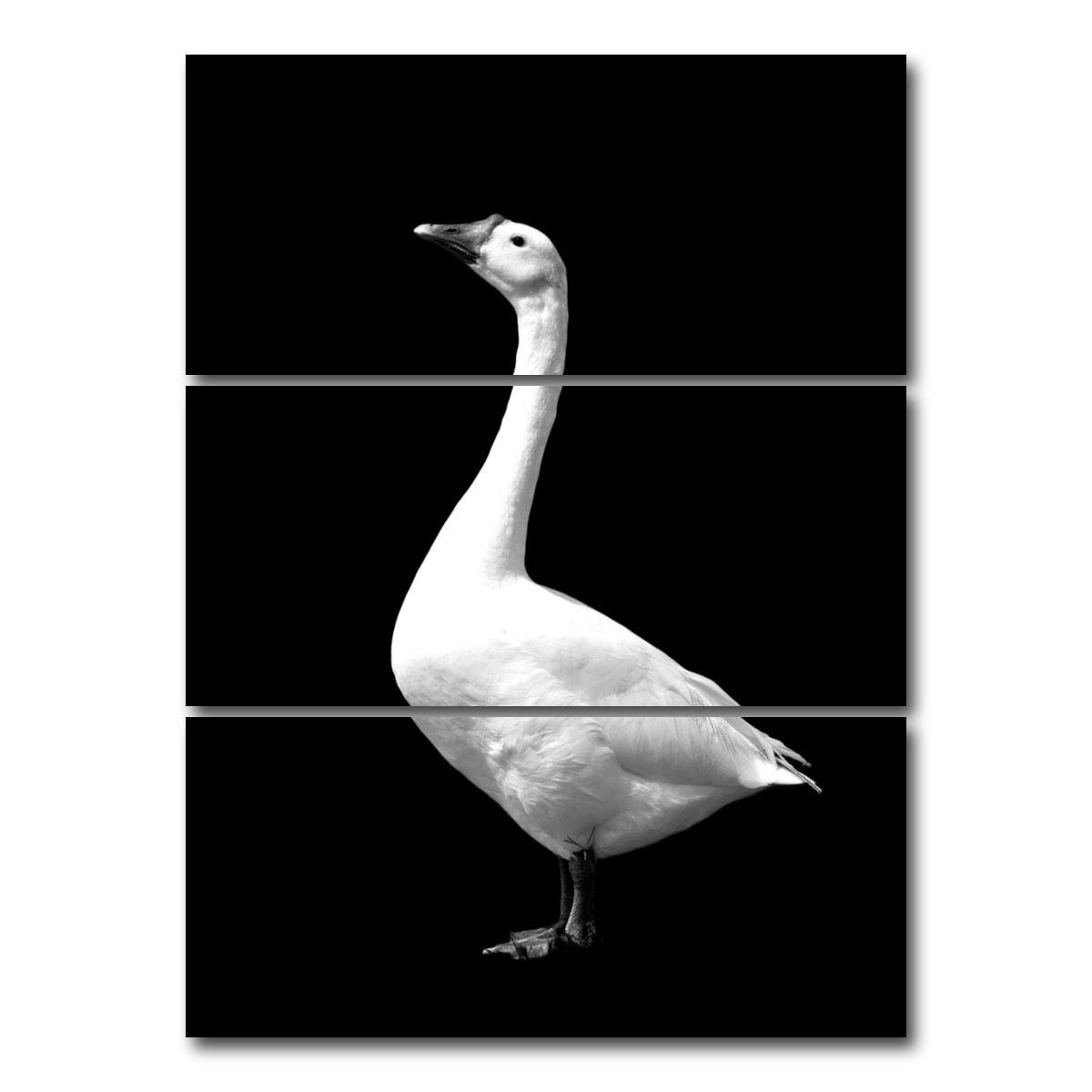 AUTO-MOCKUP WHITE | Goose | 3 Piece | Gallery Wrap Canvas | group=8x18_stacked