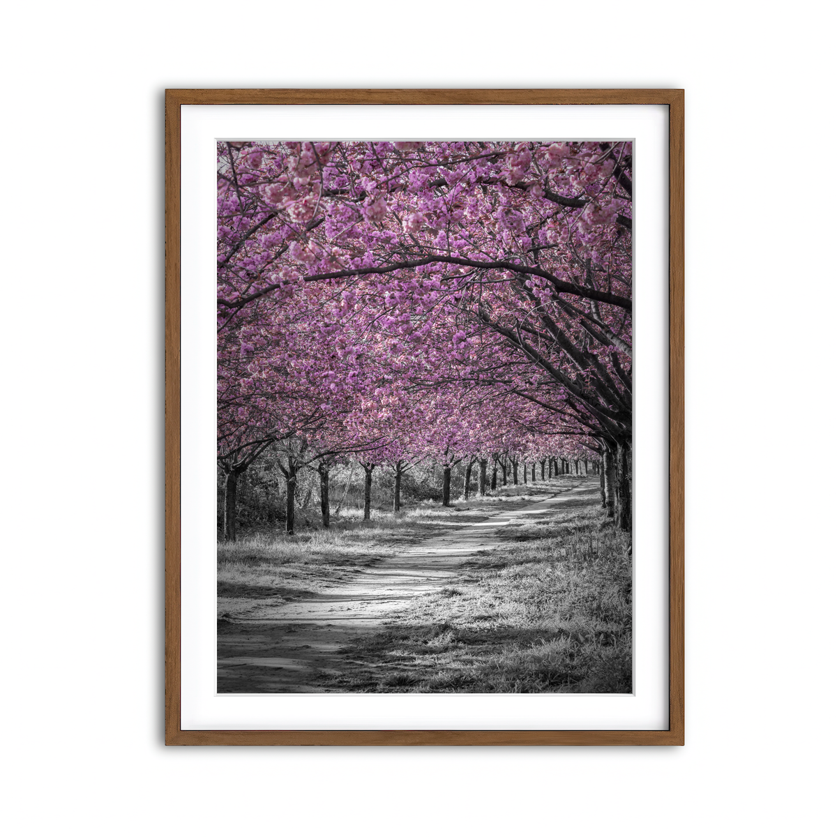 Framed Print 3x4 Walnut
