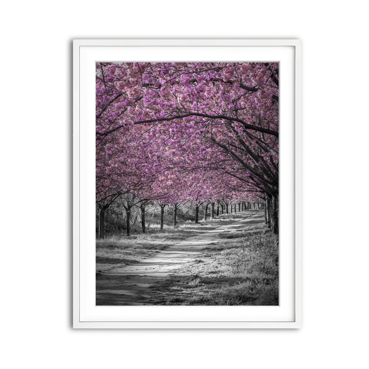 Framed Print 3x4 White