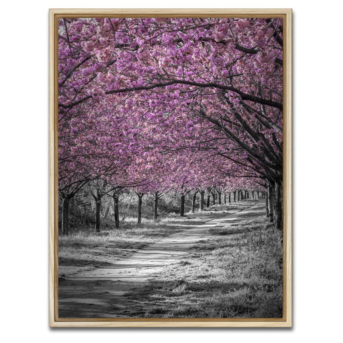 AUTO-MOCKUP WHITE | Gorgeous cherry blossom alley in pink | 1 Piece | Natural Framed Canvas | group=3x4