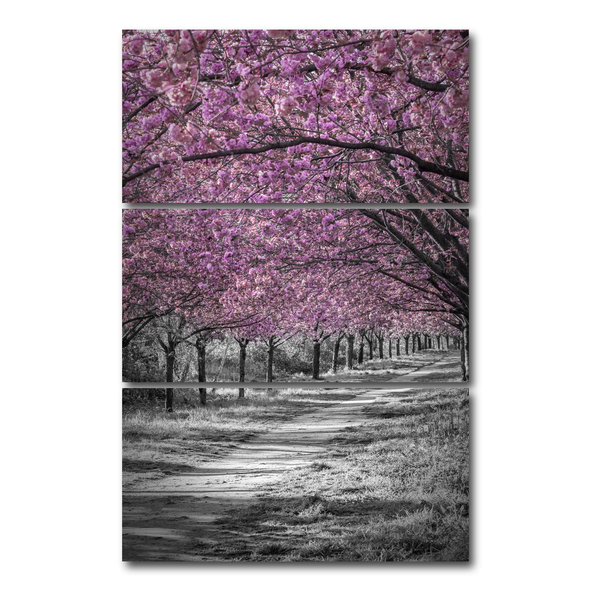 AUTO-MOCKUP WHITE | Gorgeous cherry blossom alley in pink | 3 Piece | Gallery Wrap Canvas | group=12x24_stacked