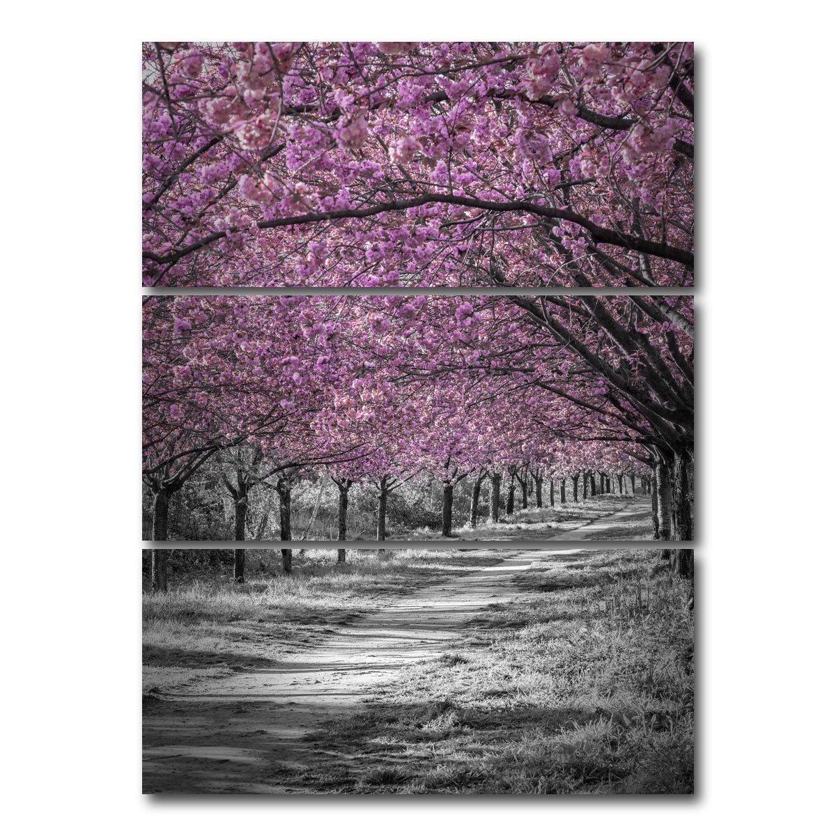 AUTO-MOCKUP WHITE | Gorgeous cherry blossom alley in pink | 3 Piece | Gallery Wrap Canvas | group=8x18_stacked