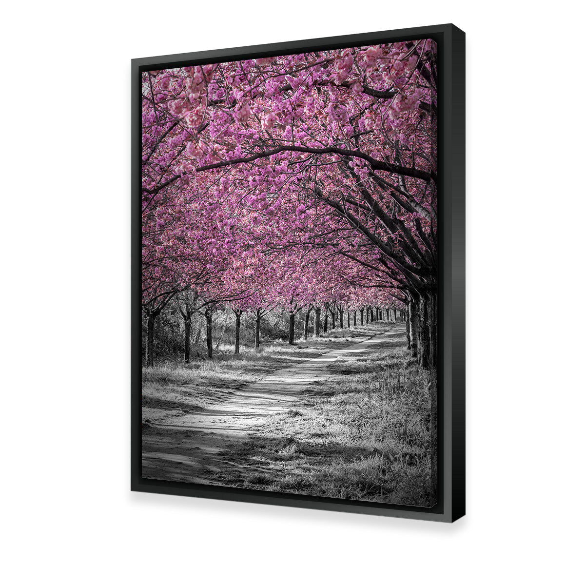 Gorgeous Cherry Blossom Alley in Pink Wall Art