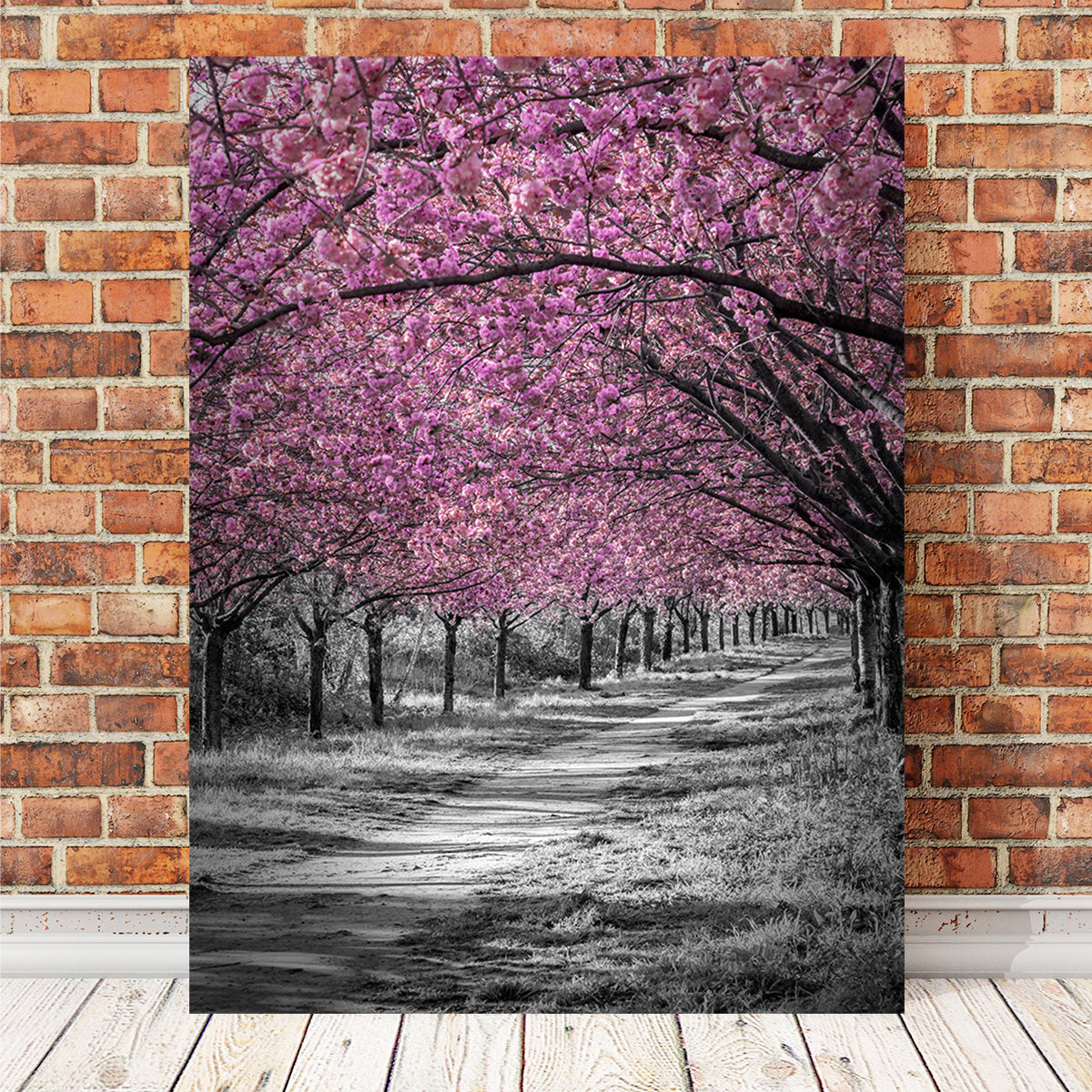 Gorgeous Cherry Blossom Alley in Pink Wall Art