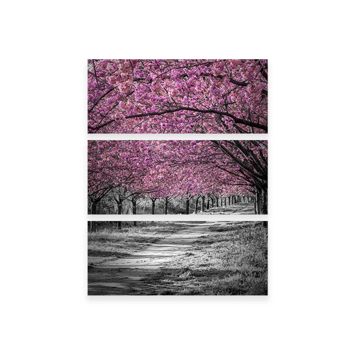 Gorgeous Cherry Blossom Alley in Pink Wall Art