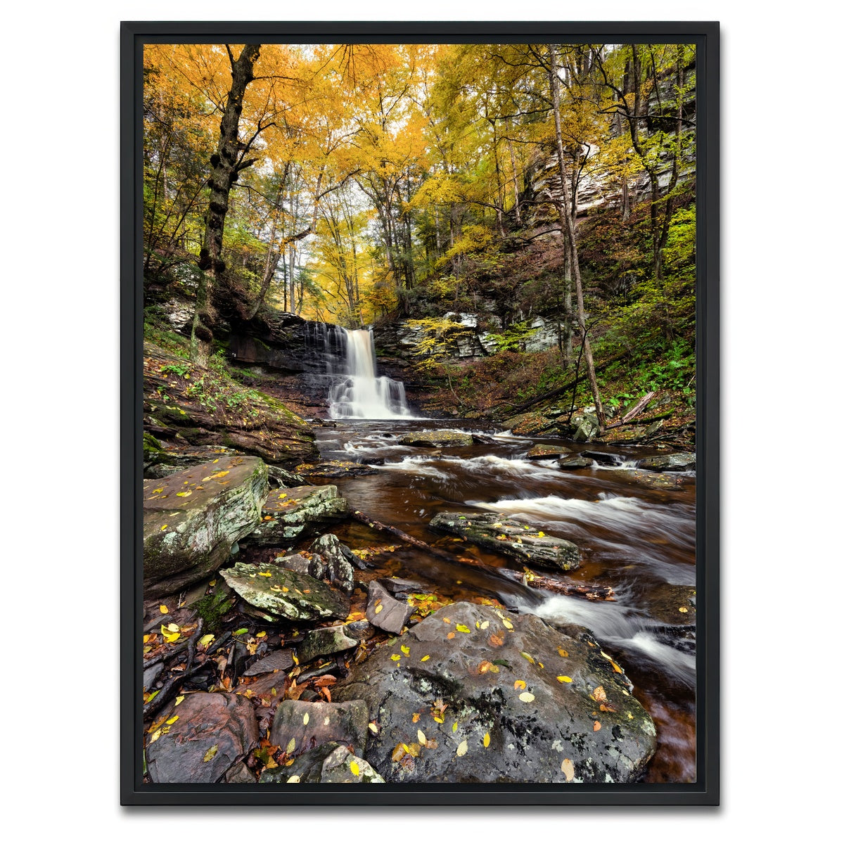 AUTO-MOCKUP WHITE | Grand Vista | 1 Piece | Black Framed Canvas | group=3x4
