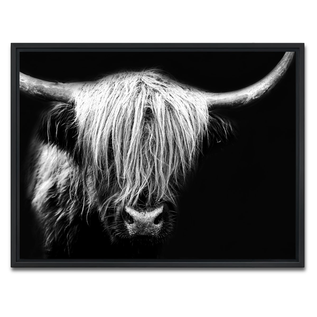 AUTO-MOCKUP WHITE | Grayscale Highland Cow | 1 Piece | Black Framed Canvas | group=4x3