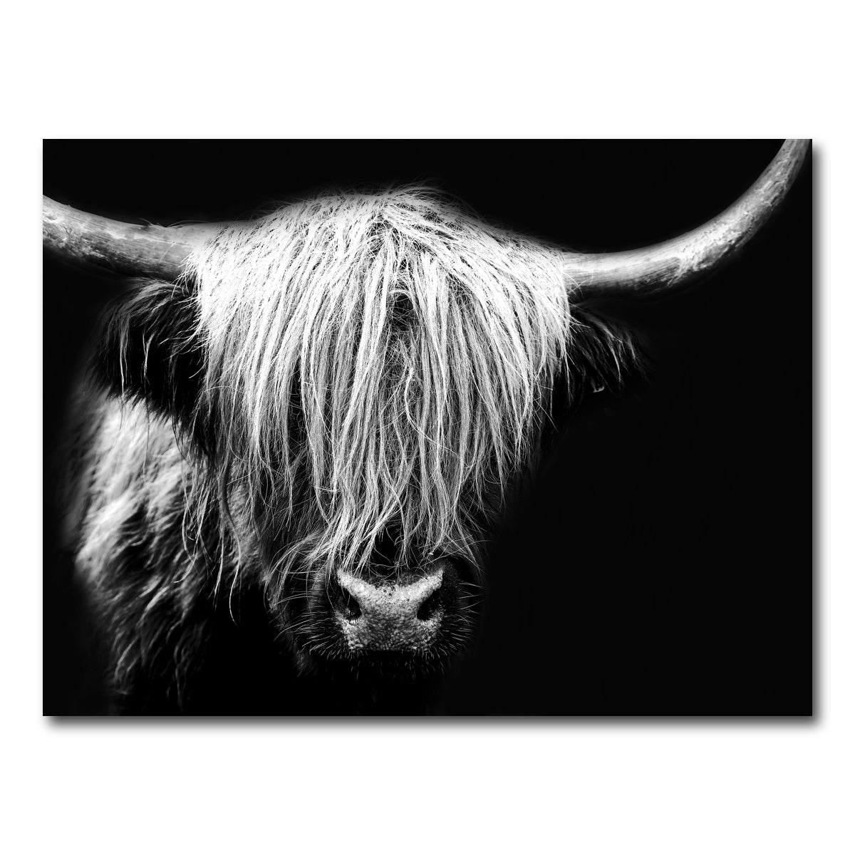 AUTO-MOCKUP WHITE | Grayscale Highland Cow | 1 Piece | Gallery Wrap Canvas | group=4x3