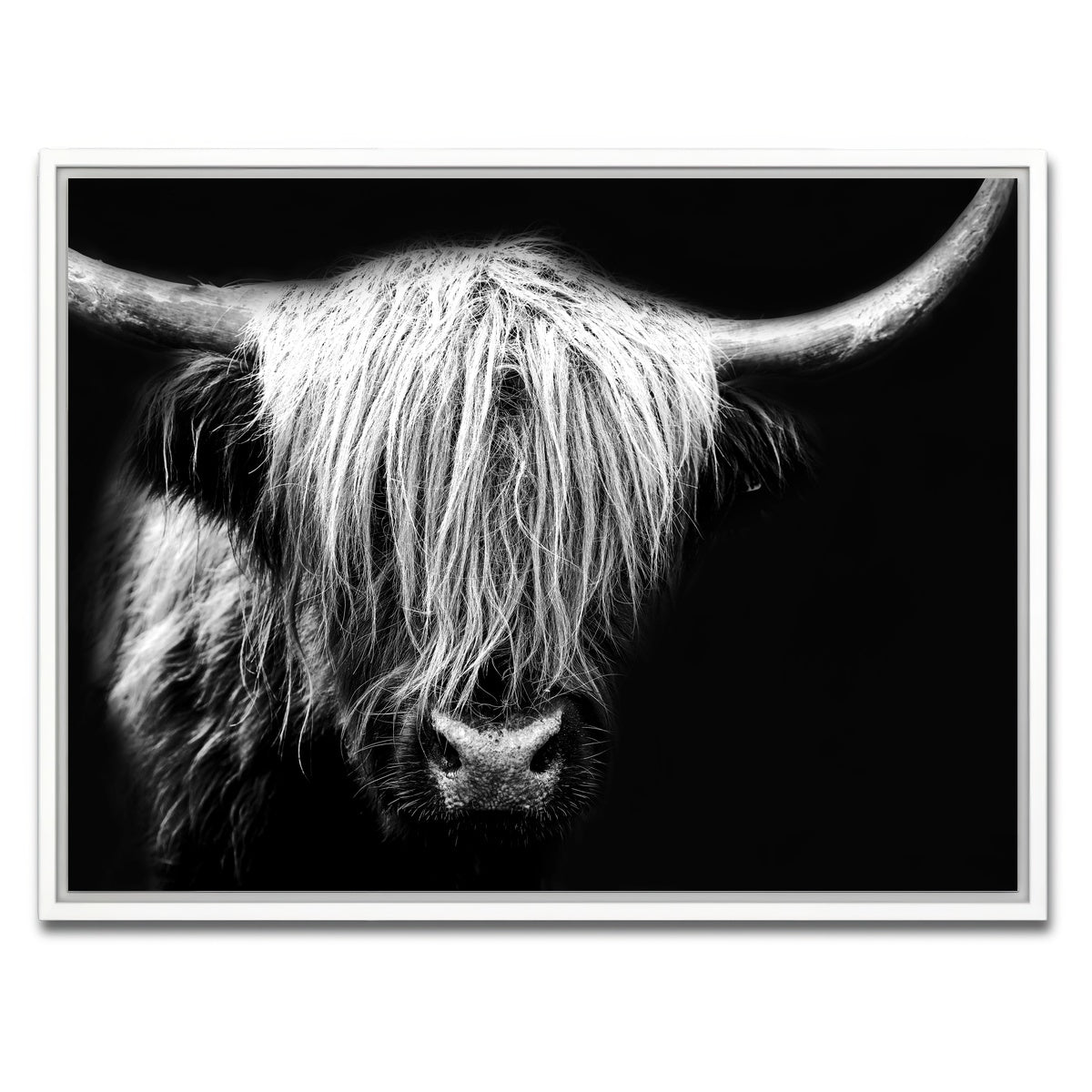 AUTO-MOCKUP WHITE | Grayscale Highland Cow | 1 Piece | White Framed Canvas | group=4x3