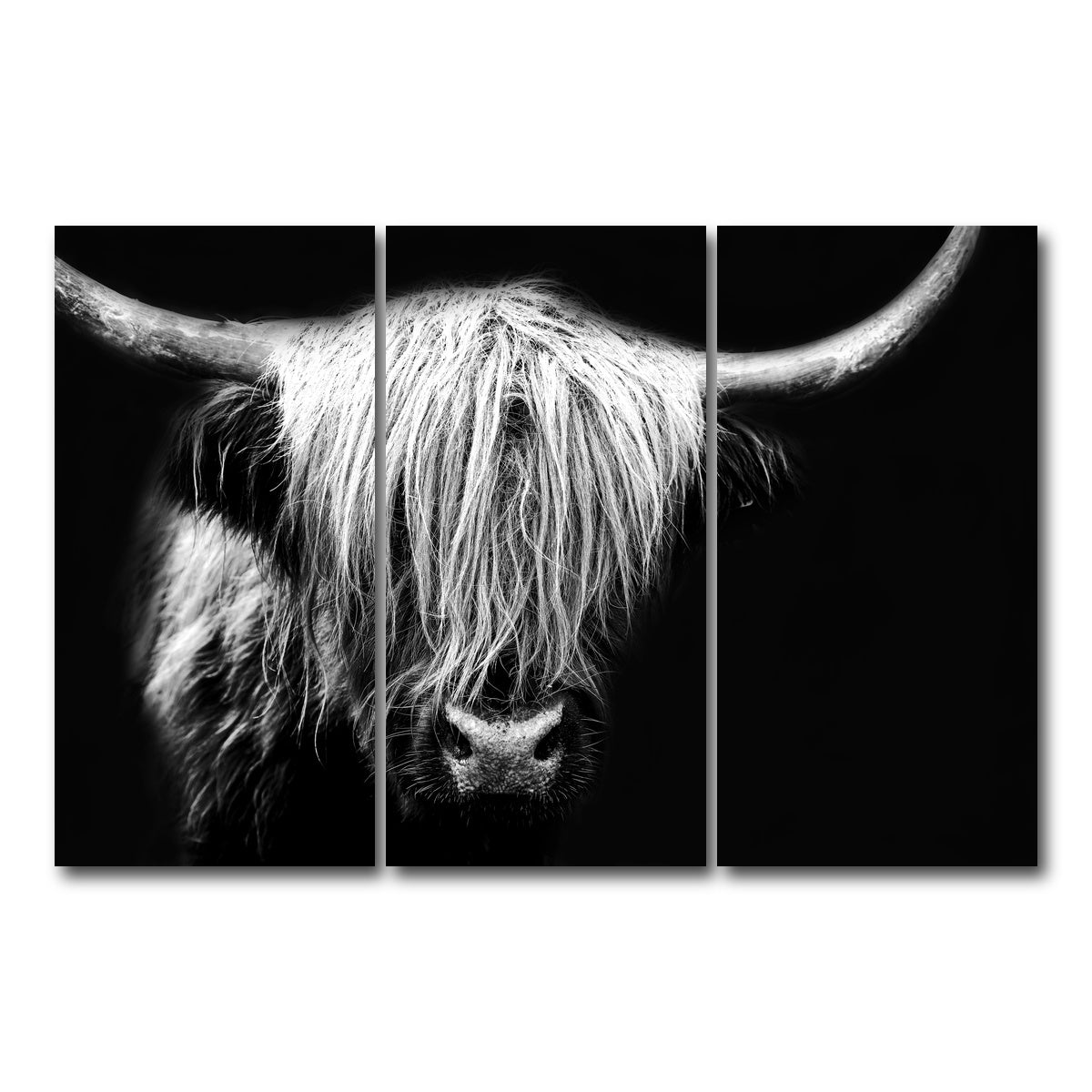 AUTO-MOCKUP WHITE | Grayscale Highland Cow | 3 Piece | Gallery Wrap Canvas | group=12x24