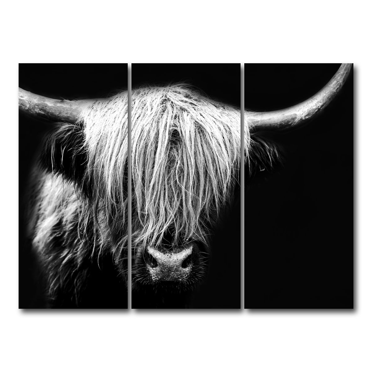 AUTO-MOCKUP WHITE | Grayscale Highland Cow | 3 Piece | Gallery Wrap Canvas | group=8x18