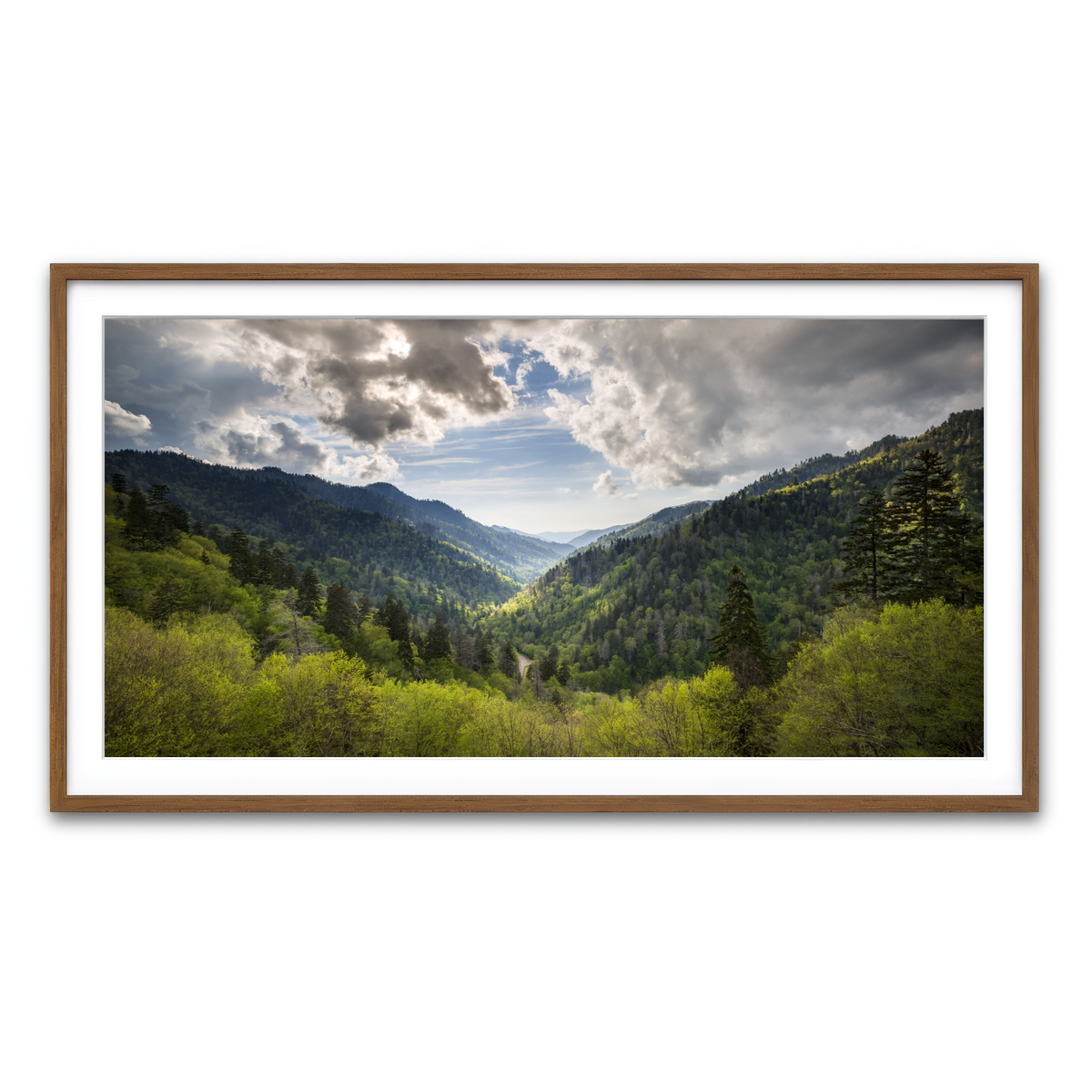 Framed Print 2x1 Walnut