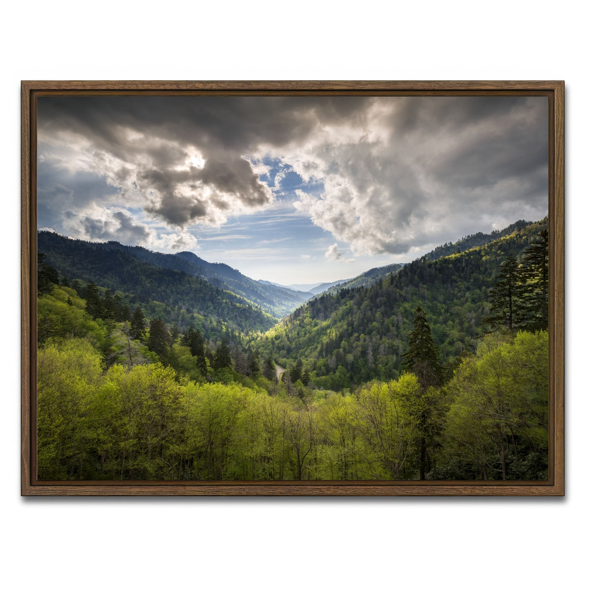AUTO-MOCKUP WHITE | Great Smoky Mountains National Park | 1 Piece | Walnut Framed Canvas | group=4x3