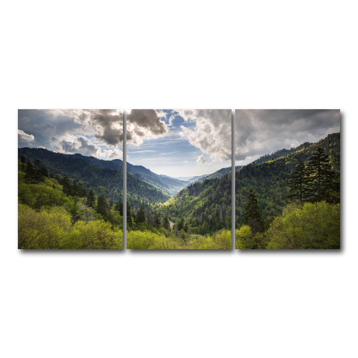 AUTO-MOCKUP WHITE | Great Smoky Mountains National Park | 3 Piece | Gallery Wrap Canvas | group=18x24