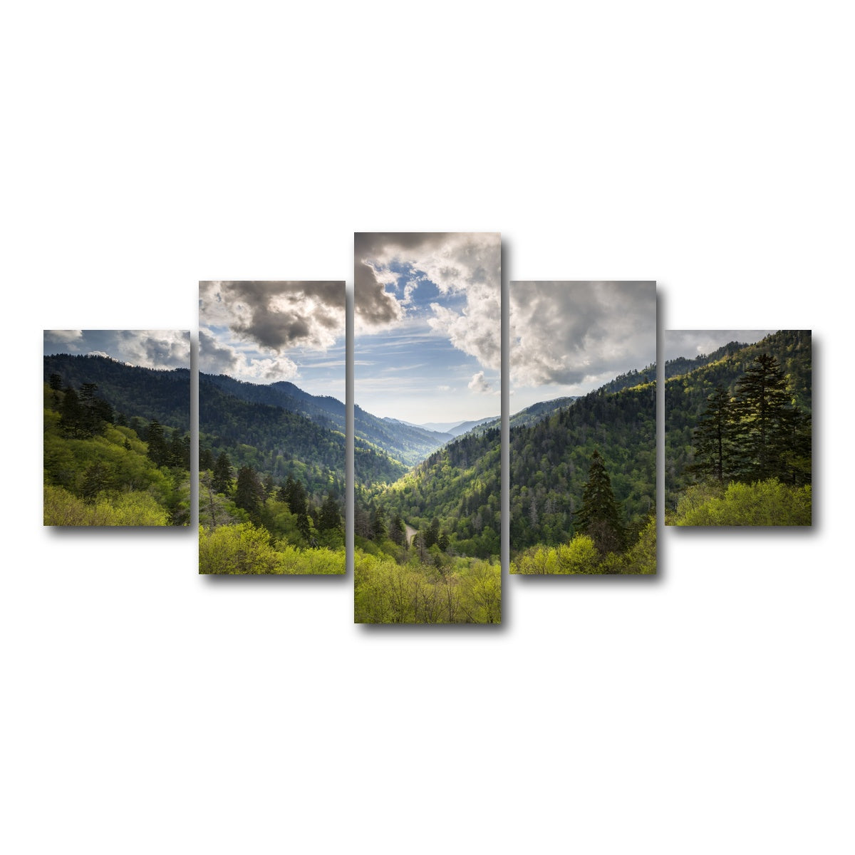 AUTO-MOCKUP WHITE | Great Smoky Mountains National Park | 5 Piece | Gallery Wrap Canvas | group=5_short