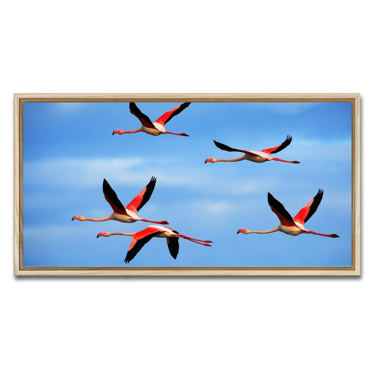 AUTO-MOCKUP WHITE | Greater Flamingo's Flying | 1 Piece | Natural Framed Canvas | group=2x1