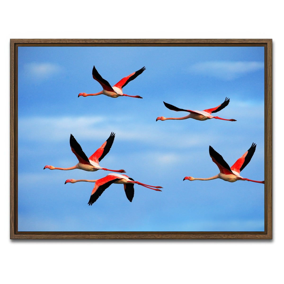AUTO-MOCKUP WHITE | Greater Flamingo's Flying | 1 Piece | Walnut Framed Canvas | group=4x3
