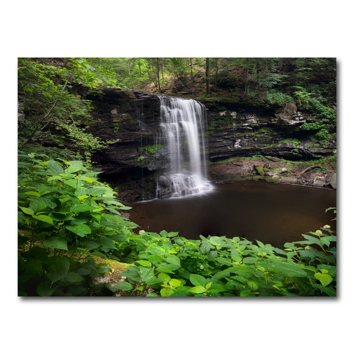 AUTO-MOCKUP WHITE | Green Eye | 1 Piece | Gallery Wrap Canvas | group=4x3