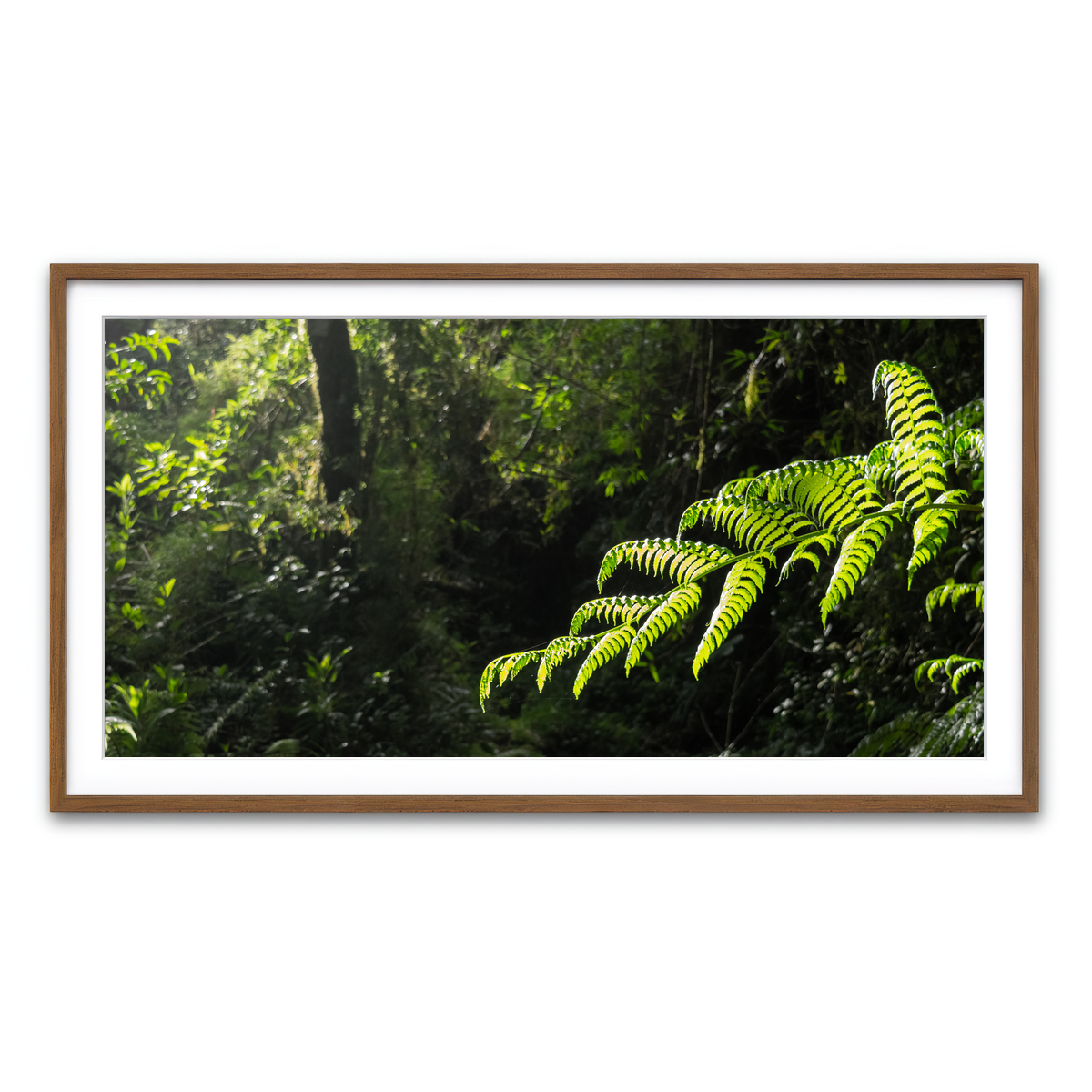 Framed Print 2x1 Walnut