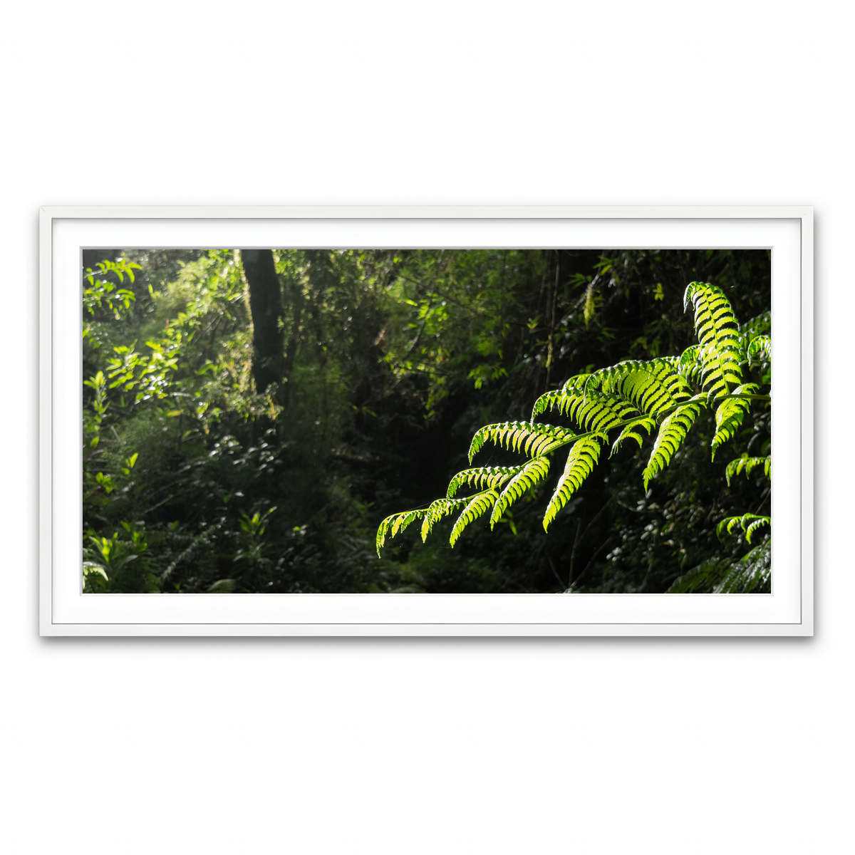Framed Print 2x1 White