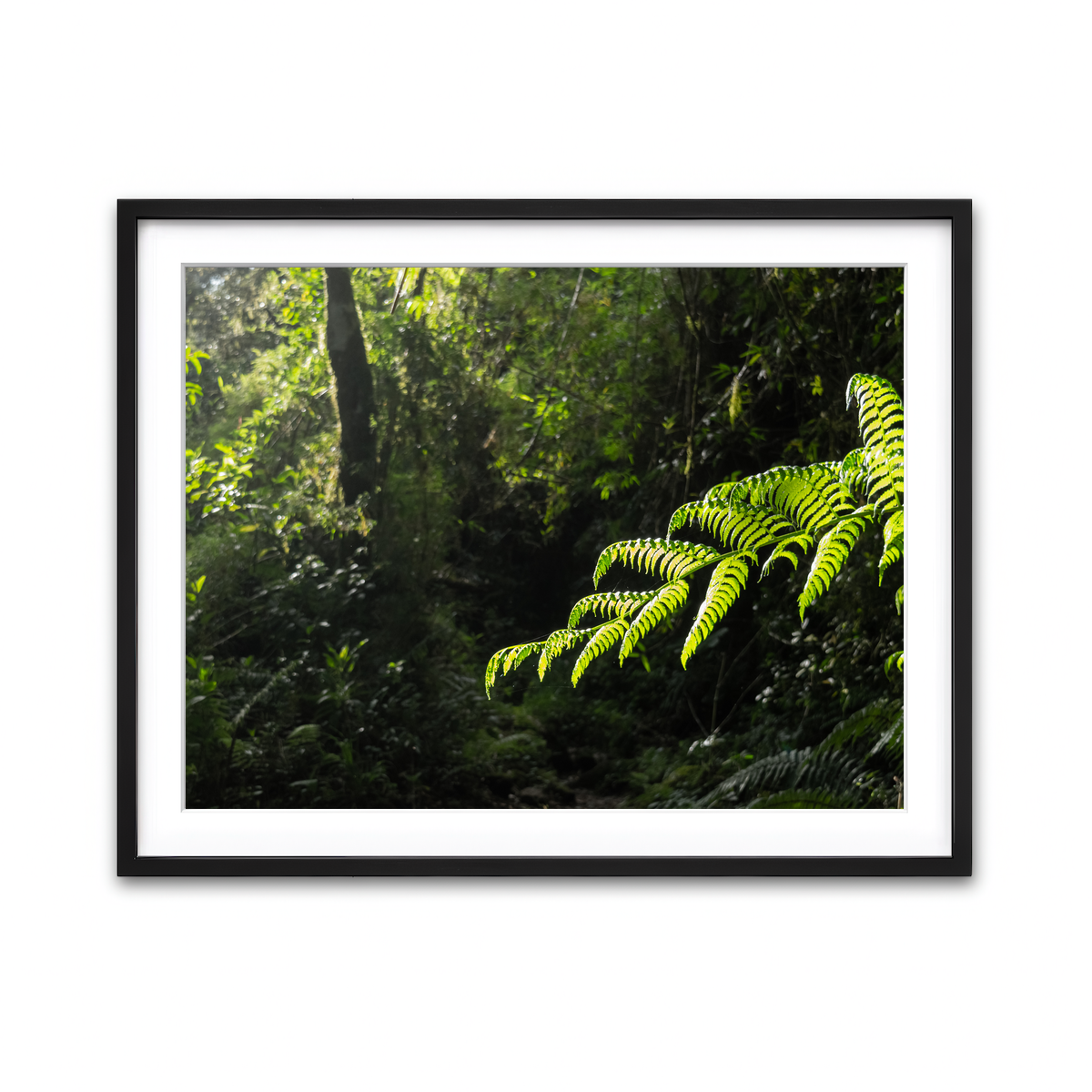 Framed Print 4x3 Black