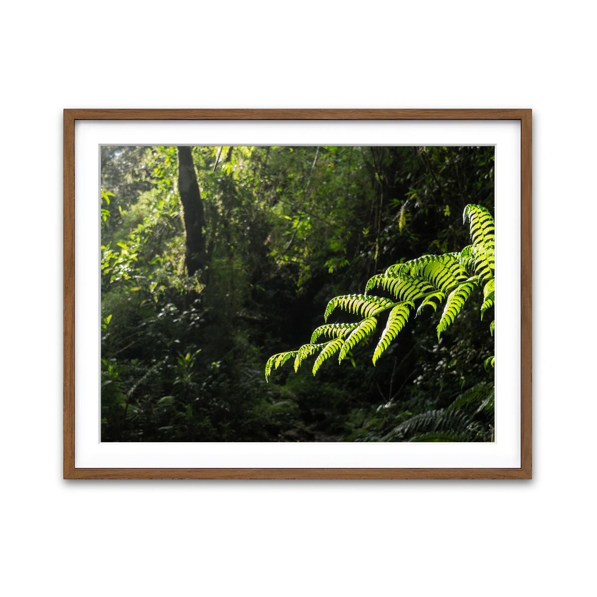 Framed Print 4x3 Walnut