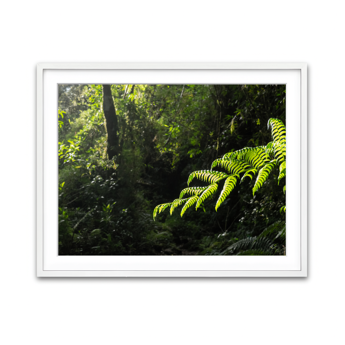 Framed Print 4x3 White