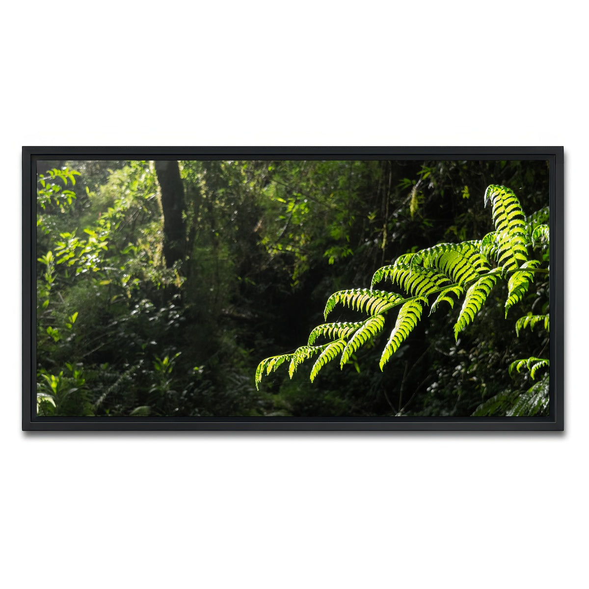 AUTO-MOCKUP WHITE | Green Samambaia | 1 Piece | Black Framed Canvas | group=2x1