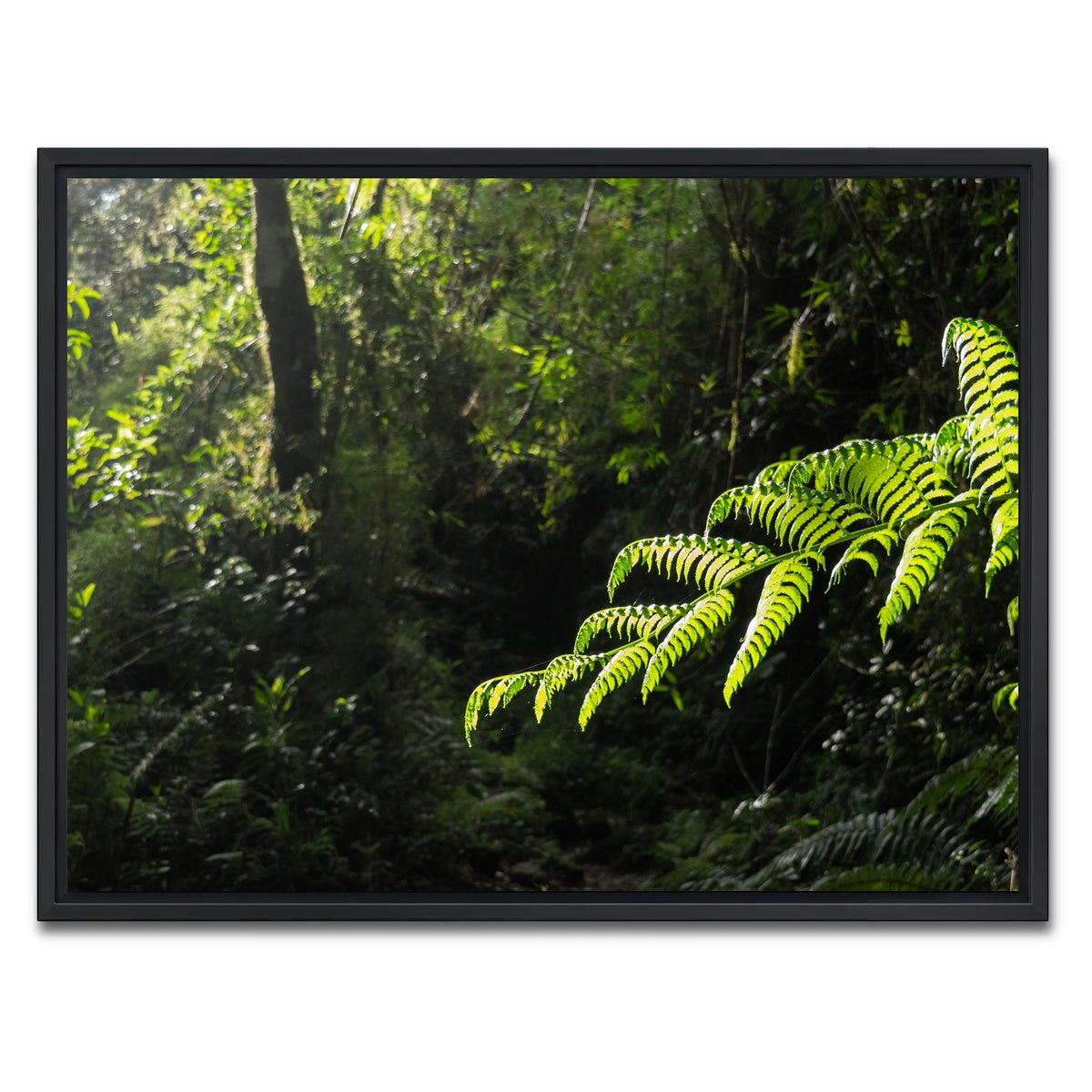 AUTO-MOCKUP WHITE | Green Samambaia | 1 Piece | Black Framed Canvas | group=4x3