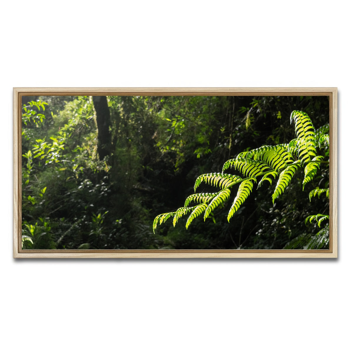 AUTO-MOCKUP WHITE | Green Samambaia | 1 Piece | Natural Framed Canvas | group=2x1