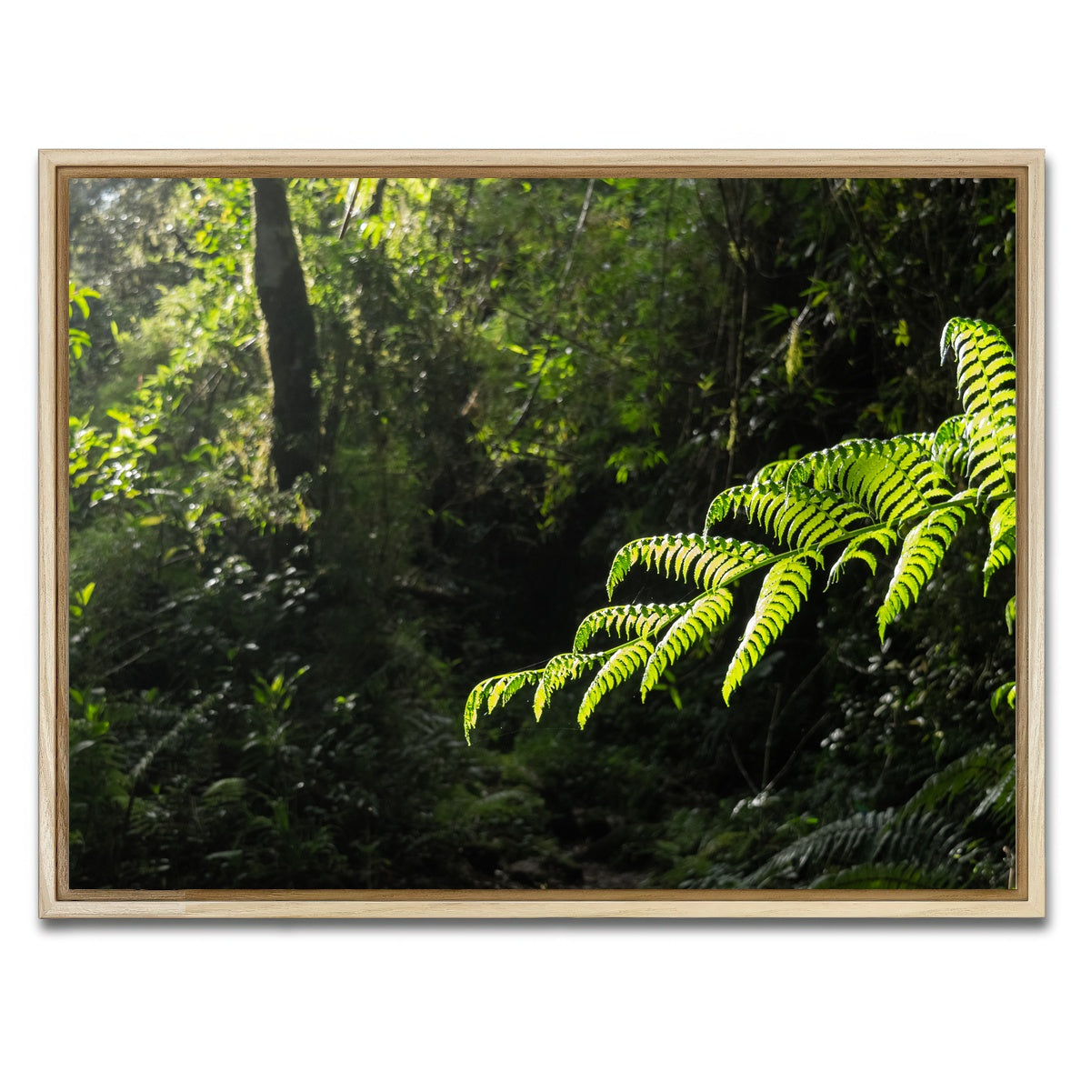 AUTO-MOCKUP WHITE | Green Samambaia | 1 Piece | Natural Framed Canvas | group=4x3