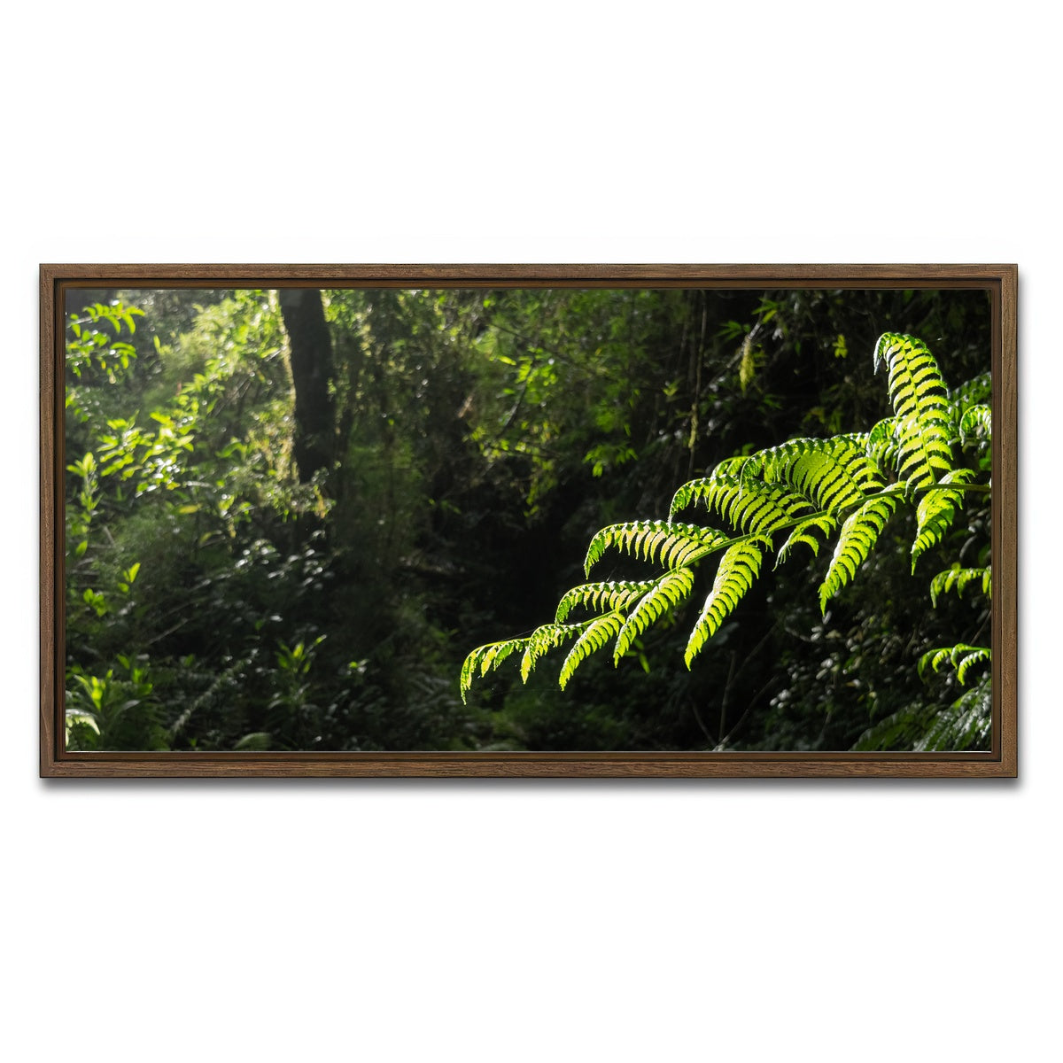 AUTO-MOCKUP WHITE | Green Samambaia | 1 Piece | Walnut Framed Canvas | group=2x1