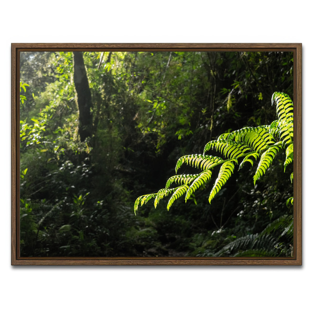 AUTO-MOCKUP WHITE | Green Samambaia | 1 Piece | Walnut Framed Canvas | group=4x3