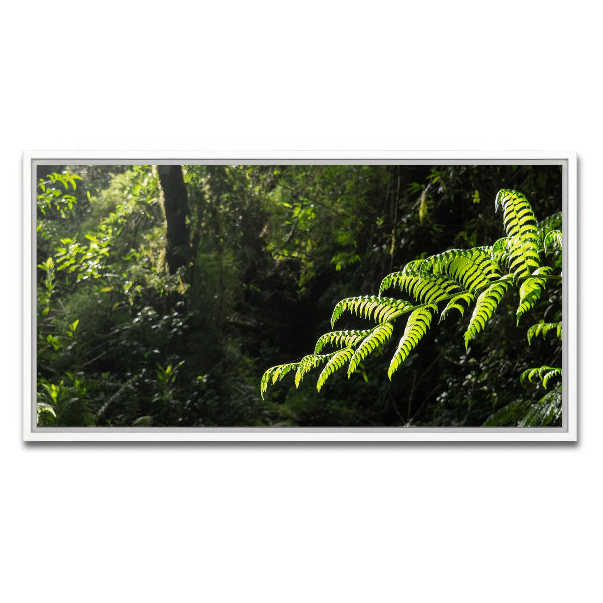 AUTO-MOCKUP WHITE | Green Samambaia | 1 Piece | White Framed Canvas | group=2x1