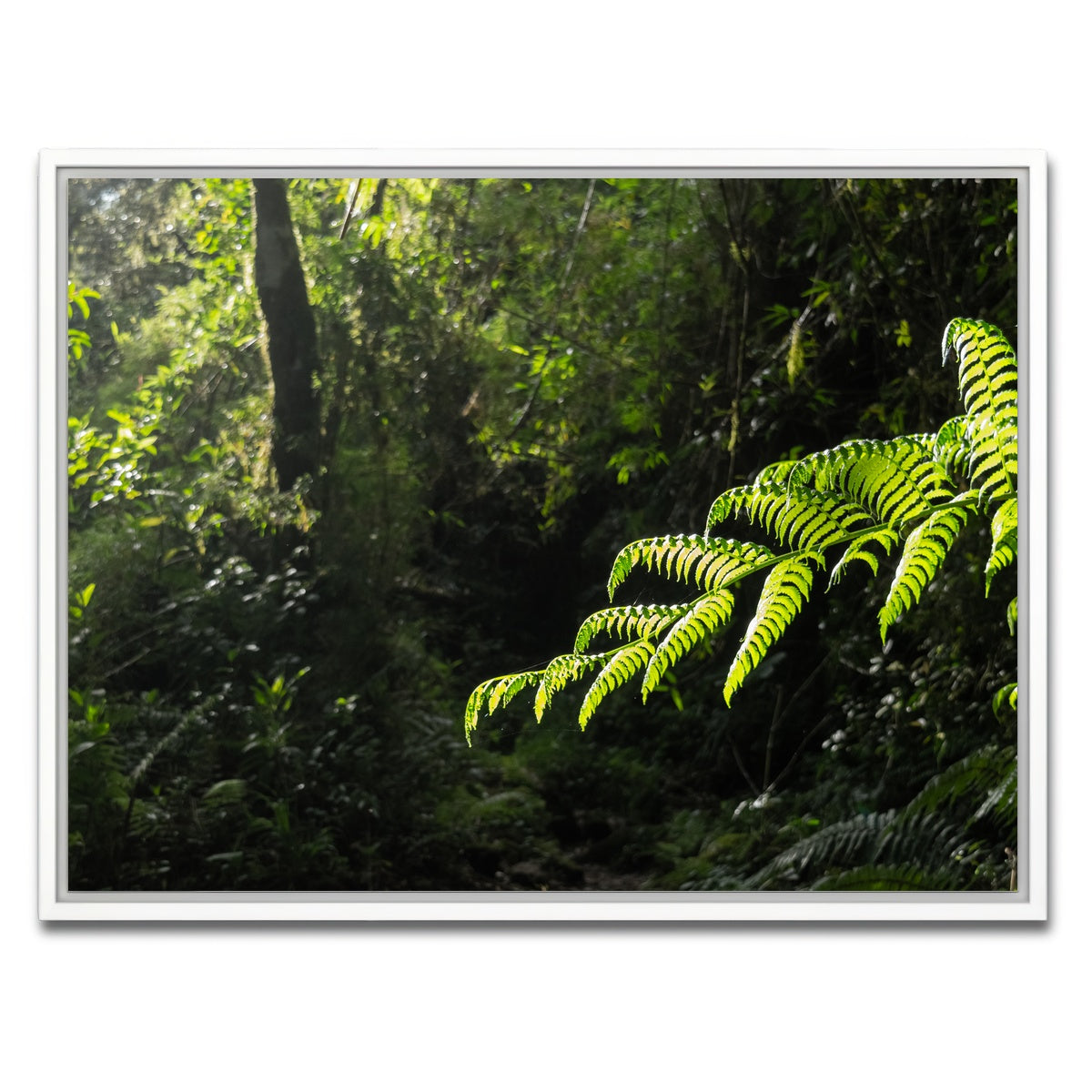 AUTO-MOCKUP WHITE | Green Samambaia | 1 Piece | White Framed Canvas | group=4x3
