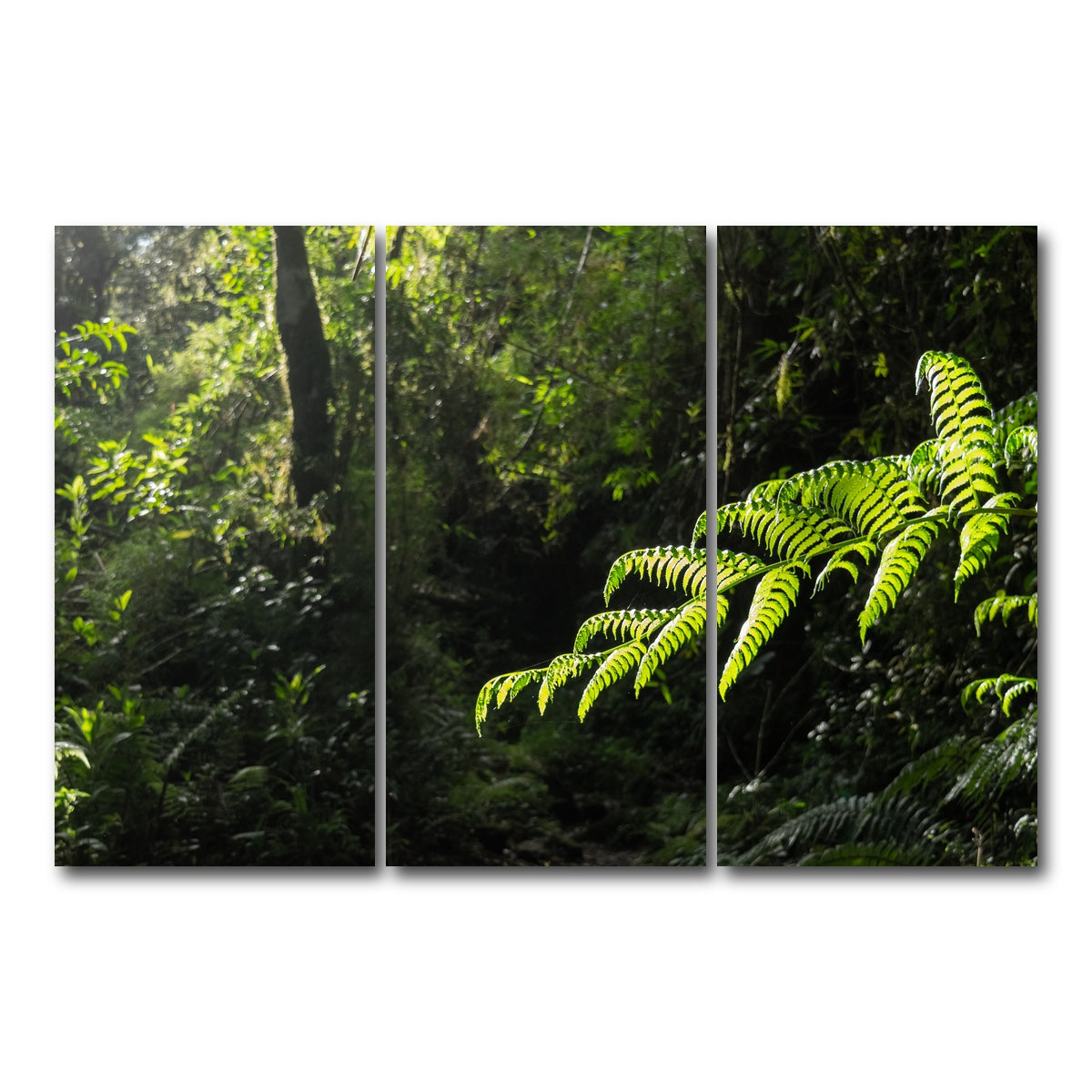 AUTO-MOCKUP WHITE | Green Samambaia | 3 Piece | Gallery Wrap Canvas | group=12x24
