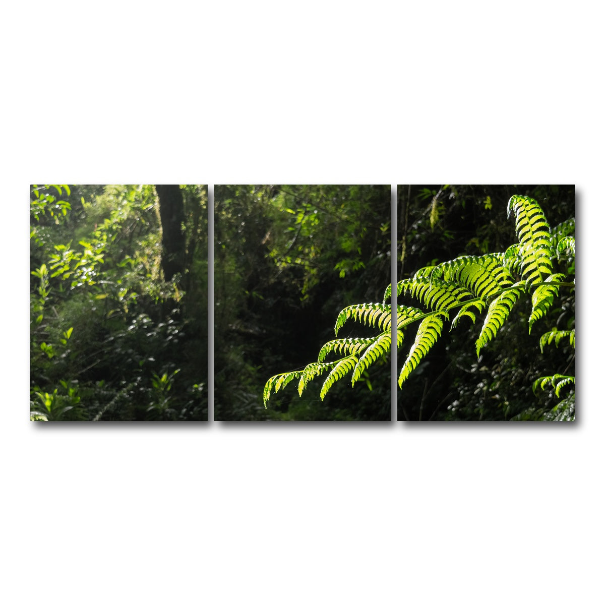 AUTO-MOCKUP WHITE | Green Samambaia | 3 Piece | Gallery Wrap Canvas | group=18x24
