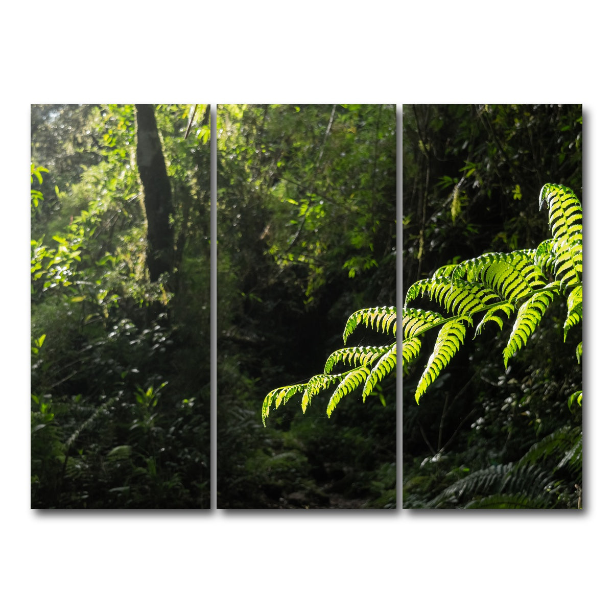 AUTO-MOCKUP WHITE | Green Samambaia | 3 Piece | Gallery Wrap Canvas | group=8x18