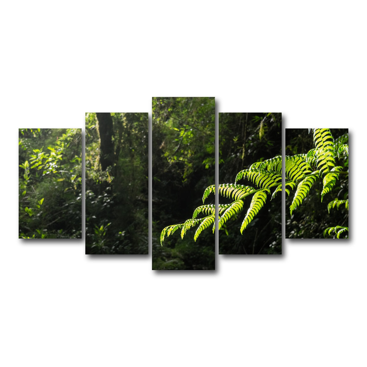 AUTO-MOCKUP WHITE | Green Samambaia | 5 Piece | Gallery Wrap Canvas | group=5_normal