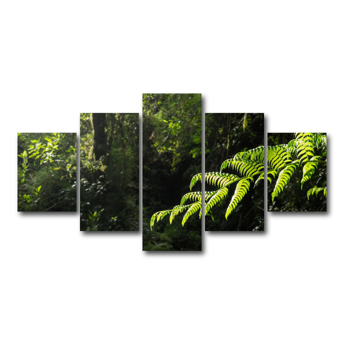 AUTO-MOCKUP WHITE | Green Samambaia | 5 Piece | Gallery Wrap Canvas | group=5_short