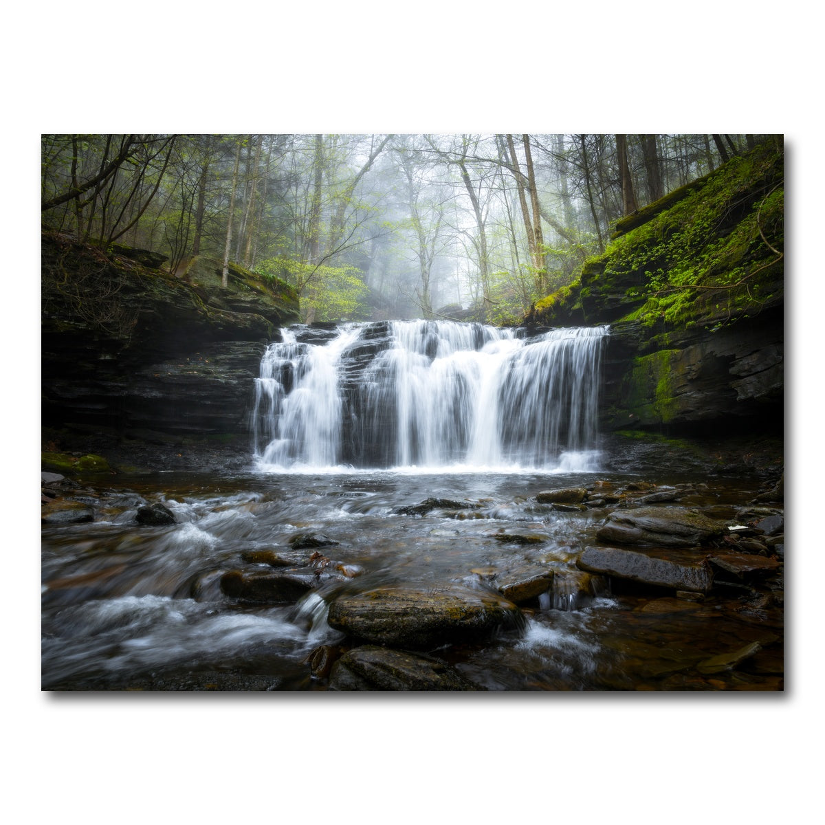 AUTO-MOCKUP WHITE | Green Serenity | 1 Piece | Gallery Wrap Canvas | group=4x3