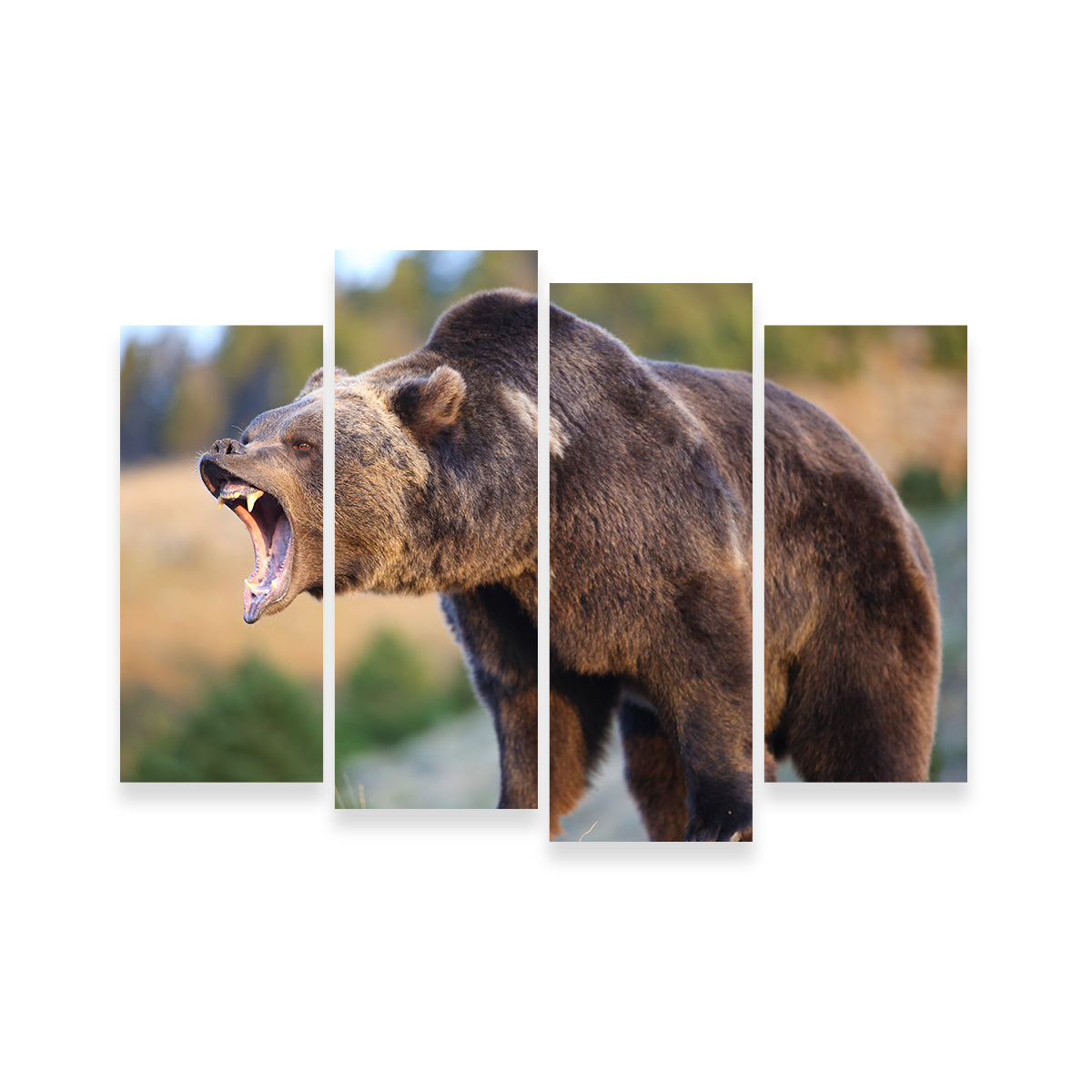 Grizzly Bear Growling Wall Art