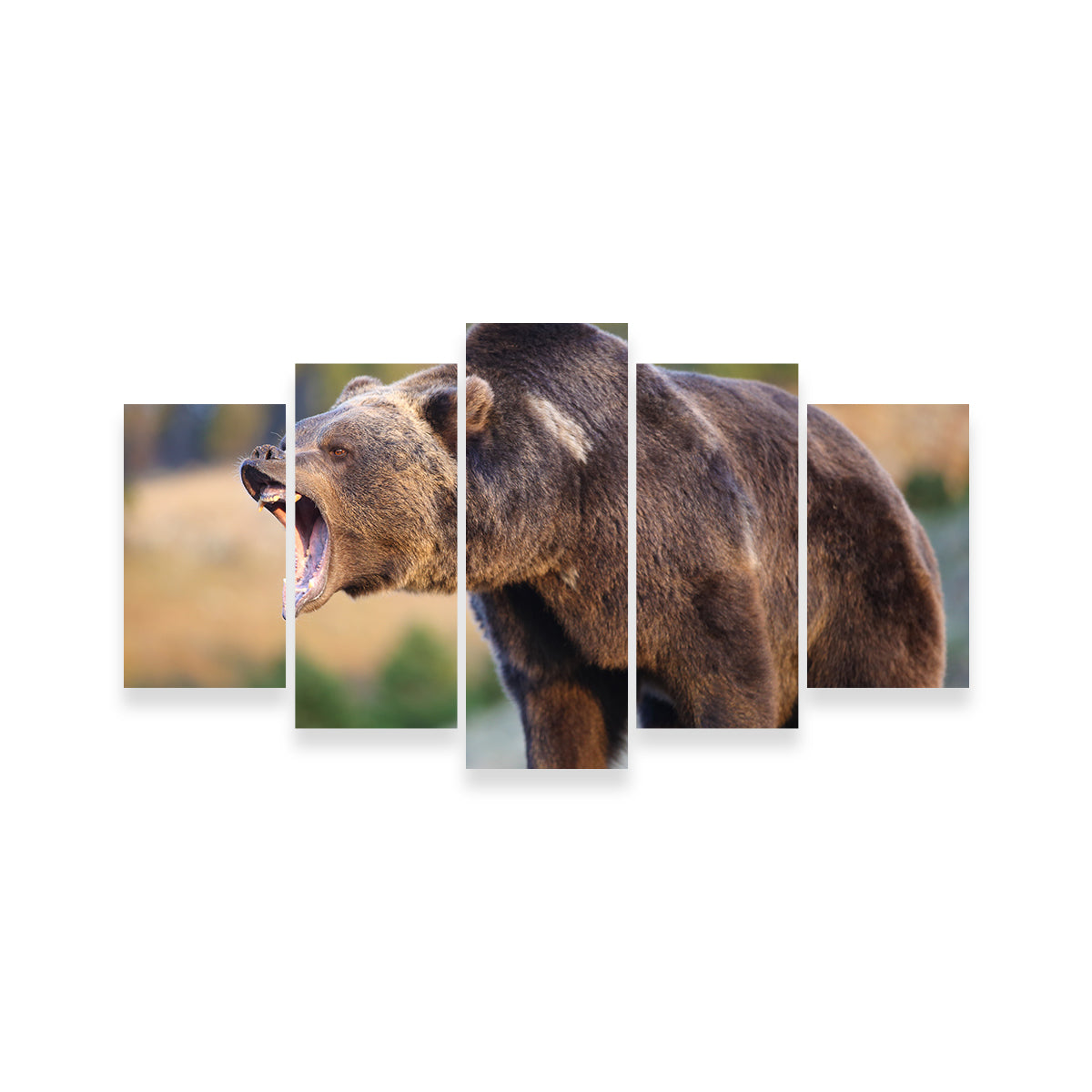 Grizzly Bear Growling Wall Art