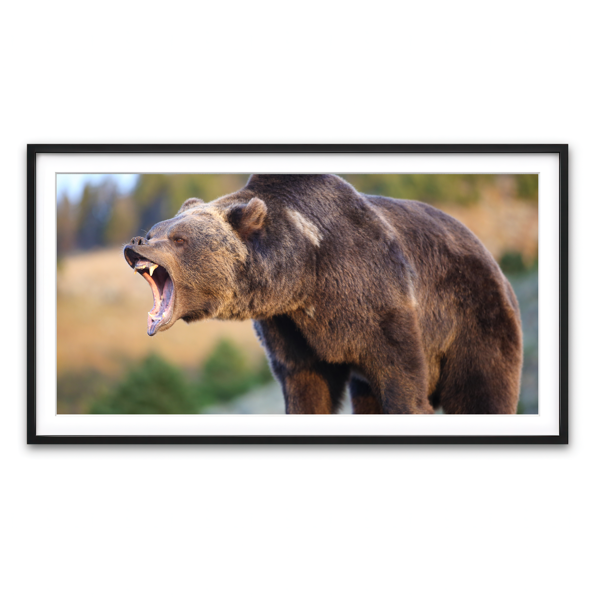 Framed Print 2x1 Black