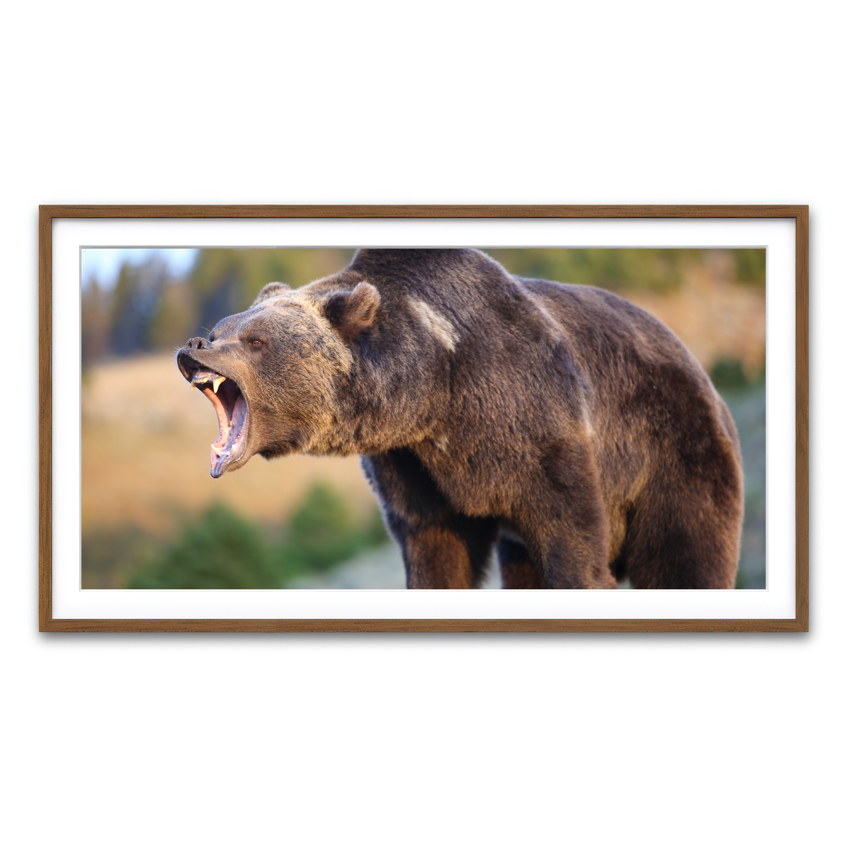 Framed Print 2x1 Walnut