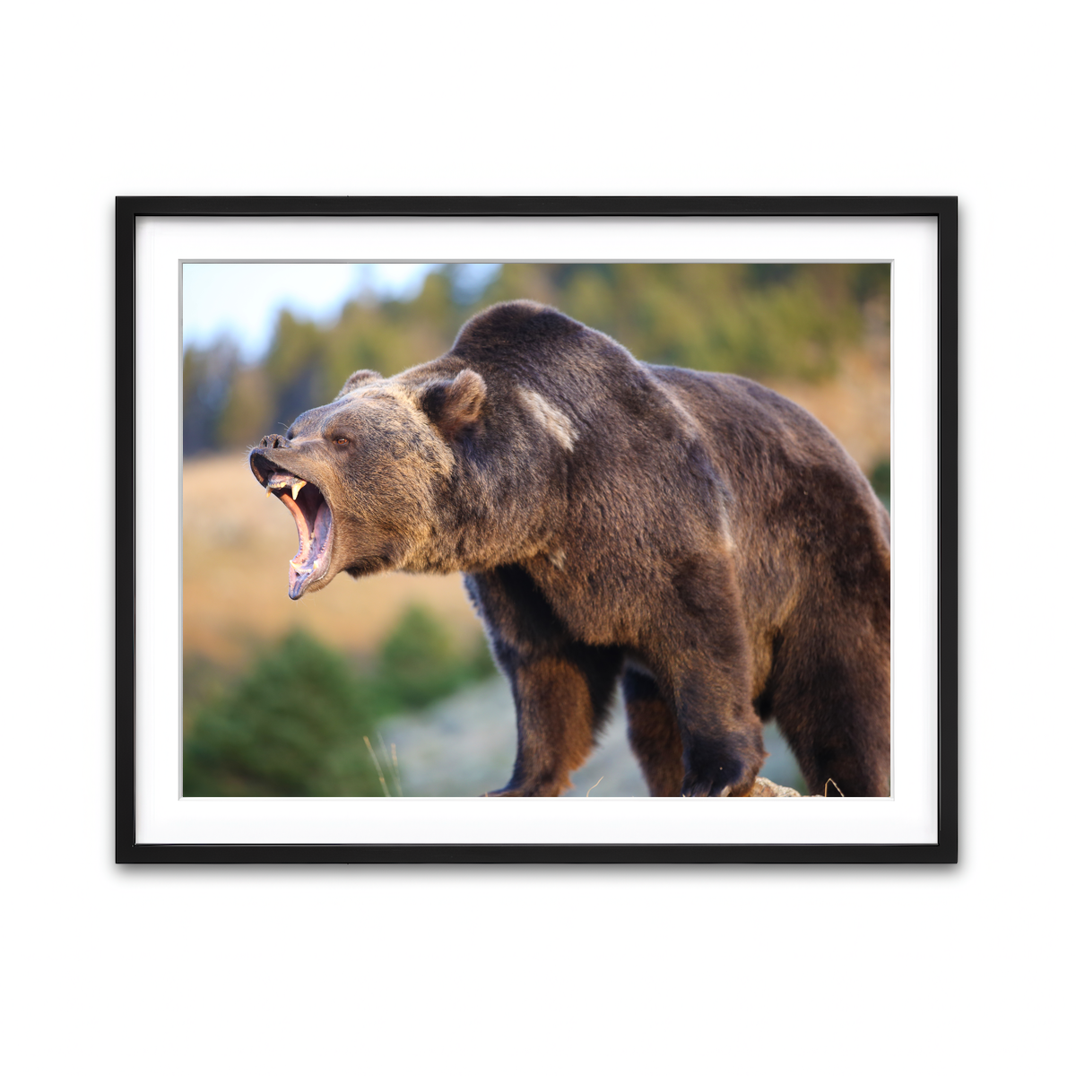 Framed Print 4x3 Black