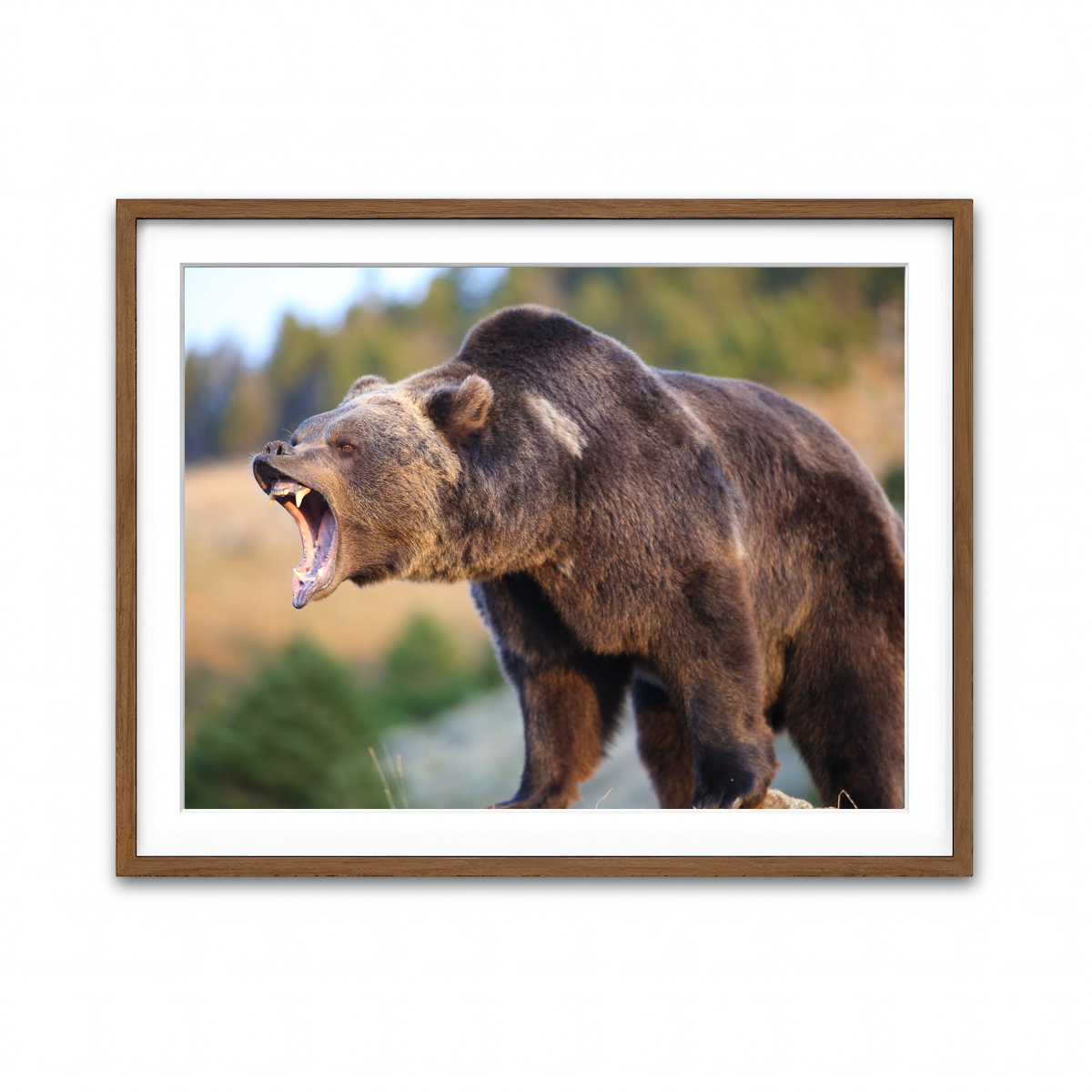 Framed Print 4x3 Walnut